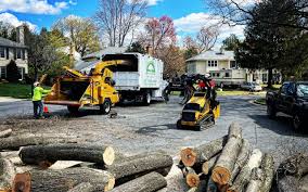 Seasonal Cleanup in Botkins, OH